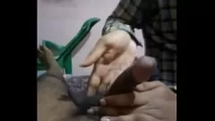 play Trio indien chaud avec une bonne branche par Stranger